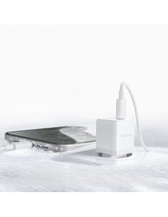 Baseus Palm Szybka Ładowarka Sieciowa C+U 30W EU Moon White